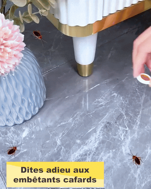 Powerful Cockroach Repellent - Attracts, Contaminates and Eradicates the Nest Quickly!